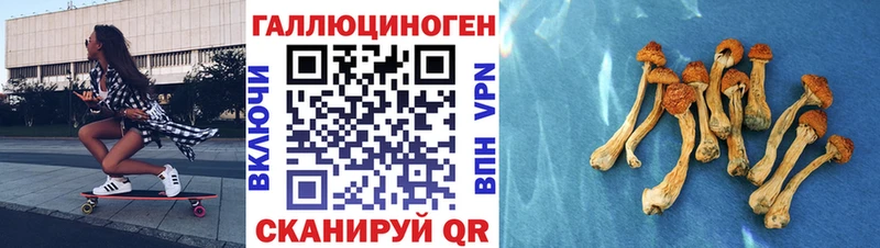 Галлюциногенные грибы мухоморы  Купить закладки  Кимовск 