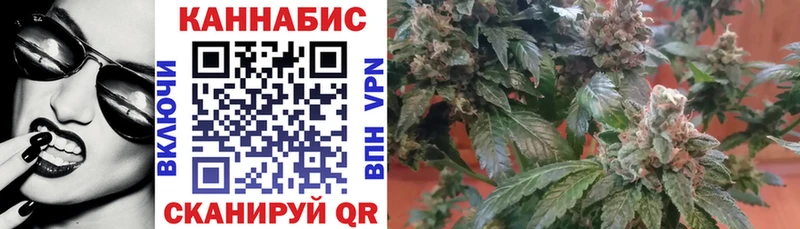 Конопля Bruce Banner  Купить  Кимовск 